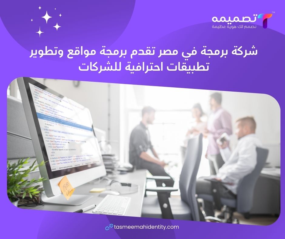 شركة برمجة في مصر